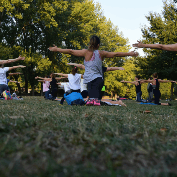 Curso de Menopausa